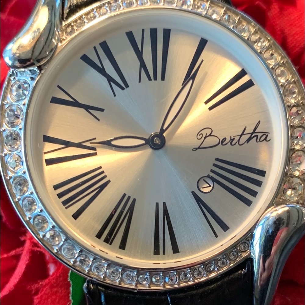 Bertha Watch